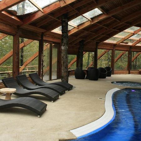 Huilo Huilo Montana Magica Villa Exteriör bild