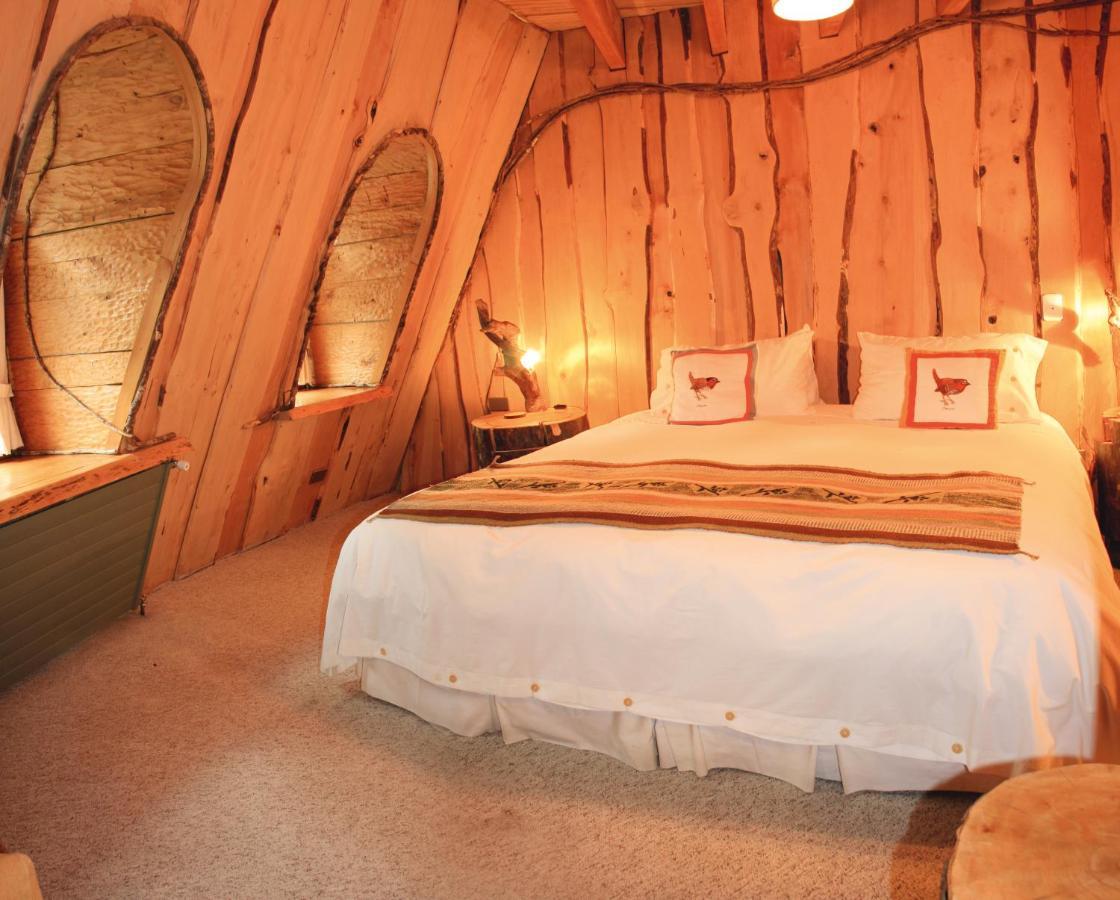 Huilo Huilo Montana Magica Villa Rum bild
