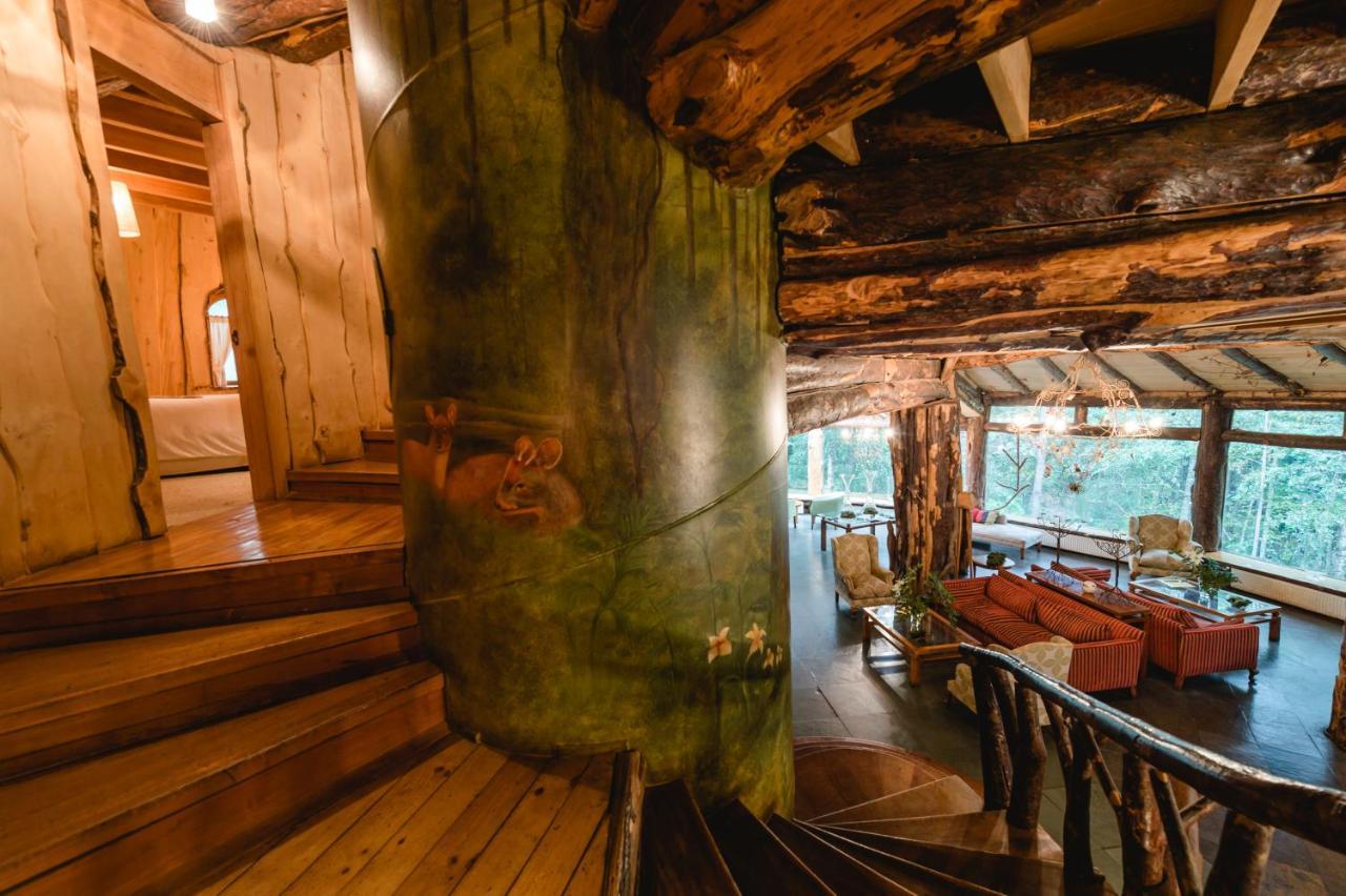 Huilo Huilo Montana Magica Villa Exteriör bild